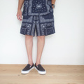 THE NORTH FACE Aloha Vent Short (ザノースフェイス)サムネイル