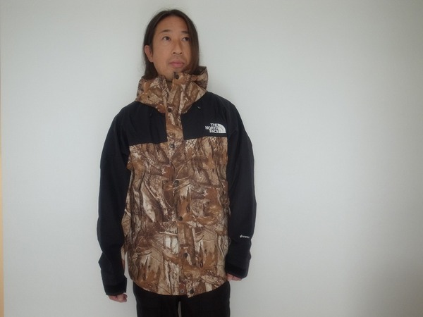 THE NORTH FACE NOVELTY MOUNTAIN LIGHT JACKET FF(ザノースフェイス)