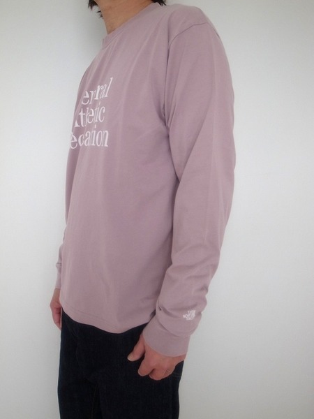 THE NORTH FACE GAR TYPOGRAPHIC L/S TEE SF