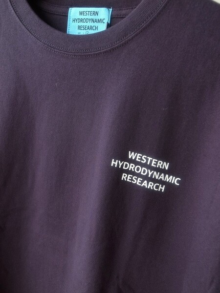 WESTERN HYDRODYNAMIC RESERCH WORKER JTEE NAVY