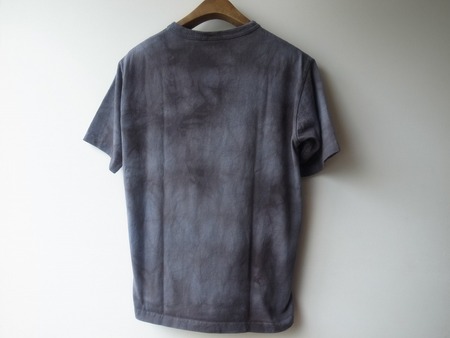 Champion US  T-SHIRT×Grateful Dead  C5-D308