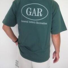 THE NORTH FACE GAR TYPOGRAPHIC COLORED S/S TEE TG