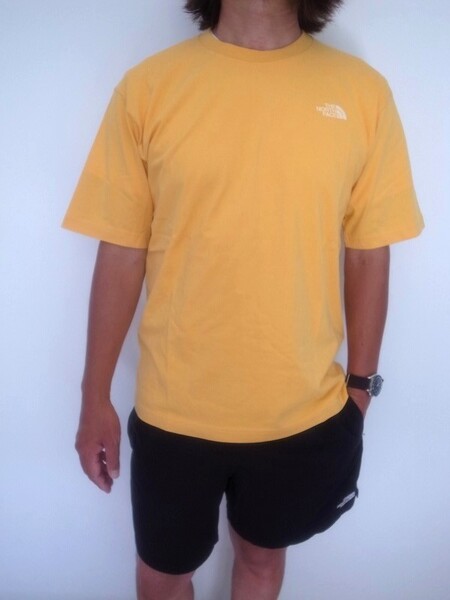THE NORTH FACE GAR TYPOGRAPHIC COLORED S/S TEE TY