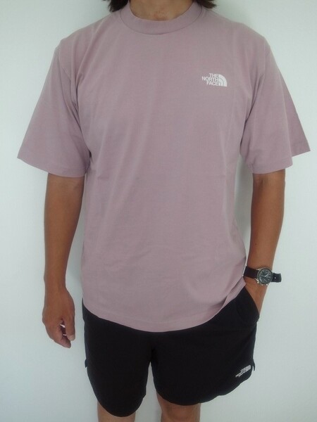 THE NORTH FACE GAR TYPOGRAPHIC COLORED S/S TEE SF