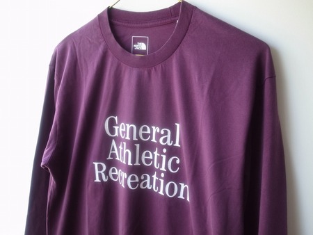 THE NORTH FACE GAR TYPOGRAPHIC L/S TEE PU