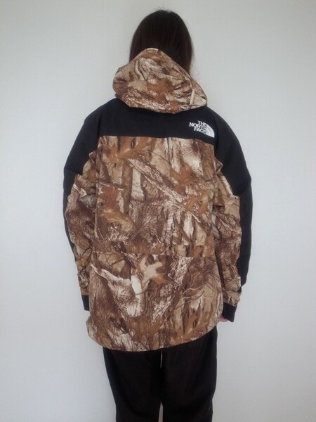 THE NORTH FACE NOVELTY MOUNTAIN LIGHT JACKET FF